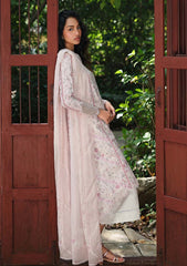 Lawn - Qalamkar - Q Prints - Unstitched 26 - QQL#02-A - Ailsa