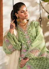 Lawn - Naqsh - Chikankari Festive 26 - D#00204 - Green Peace