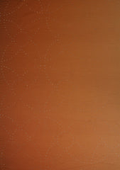 Shamoz Silk With Stone Work - ASPL#39