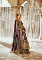 Formal Collection - Aik Atelier - Dastoor Luxury Velvet - LOOK 10