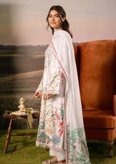 Winter - M.Basics - Unstitched Casual - Pre/Fall 25 - MBPF#05 A