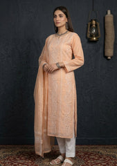 Formals - Riwaj - Fancy 26 -  Ari & Mukesh Work - 2 Pcs - D#01 - Peach
