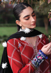 Winter - Republic Womenswear - Amaris 25 - Luxury Shawl - D#15 - Elara