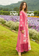 Lawn - Mushq - Hemline - Secret Garden - Garden of Dreams