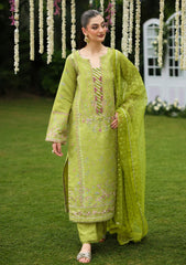 Winter - Rang Rasiya - Luxe Silk 25 - RRLS#08 - Radin