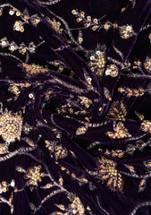 Embroidered Velvet Sitari Work - ASPL#131