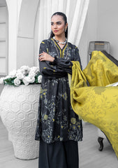 Winter Collection - Paltar - Dastoor - PF#102302 - TALAB