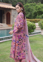 Winter - Al Zohaib - Colors Linen - Edit 25 - CL#03