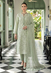 Lawn - Meemsey - Rashk Qamar - L Green