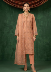 Formals - Riwaj - Fancy Net - 2 Pcs Suit - CND#1100 - Rust