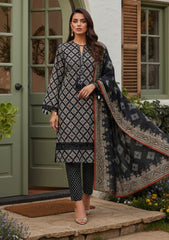 Winter - Riwaj - Printed Marina - 3 Pcs - Wool Shawl 25 - D#29