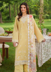 Winter - Asifa & Nabeel - Eden Cambric 25 - ECU#10 - Golden Dust