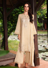 Winter - Riaz Arts - Tehzeeb 25 - Leather Peach - TL#450