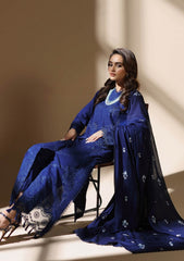 Winter Collection - Rajbari - Nissa - RBN24#01
