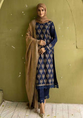 Winter Collection - Riaz Arts - DastKari - D#05