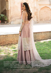 Formal Collection - Ayzel - Pehli Nazar - AP24#05 - MUSSARAT