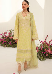 Lawn Collection - Rang Rasiya - Florence - RFL24#03 - OLIVIA