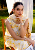 Lawn Collection - Neeshay - Summer Lines - Printkari - NP24#08 - Sunsplash