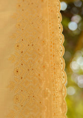 Lawn Embroidered Shawl D - 40 - L Gold