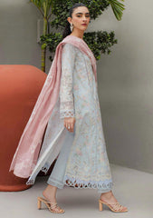 Lawn Collection - Qalamkar - Qline - JK24#06 - Octavia