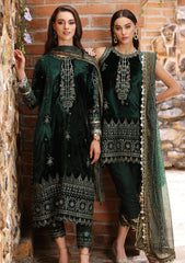 Winter Collection - Noor - Saadia Asad - Luxury - Shawl - NWS#06