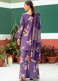 Winter Collection - Charizma - Aniqa - Emb Khaddar - CA# 06