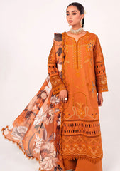 Winter Collection - Marjjan - Afsanah - D#06-B