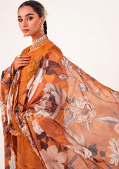 Winter Collection - Marjjan - Afsanah - D#06-B