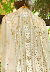 Formal Dress - Bahawalpur Pehnawa - Chiffon - Mukesh Chikankari - D#06