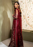 Formal Collection - Neeshay - Pari Naaz - Wedding Formals 24 - D#1 - SURI