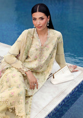 Lawn - Maria B - M Prints - The Sun Club 26 - MSC#01A