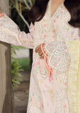 Lawn Collection - Qalamkar - Festive Lawn 24 - PS#03 - IRSA