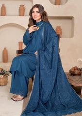 Winter - Bin Rashid - Aaina - Zari Wool 25 - BZW#01