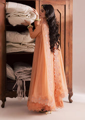 Pret - Vanya - Kavira - Chiffon 25 - KR#07