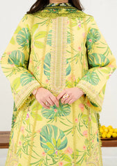 Lawn - Mahnur - Anaya - Summer 26 - MAS#17