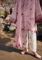 Lawn - Zaha - Meili Festive 26 - ZL#06B - BÌ YÙN