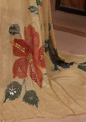 Formals - Bahawalpur Pehnawa - Chiffon - 2 Piece - D#05