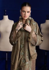 Winter - Parishay - Velvet Palachi Shawl 26 - CHE#06