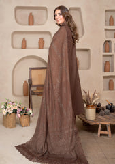Winter - Bin Rashid - Aaina - Zari Wool 25 - BZW#02