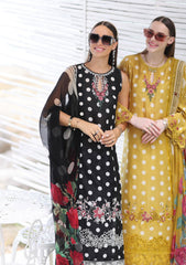 Lawn Collection - Noor - Saadia Asad - Luxe Printkari - NSL24#6-A