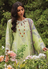 Lawn Collection - Sadaf Fawad Khan - Siraa Vol 2 - SS24#03 - B - GINA