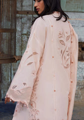 Lawn - Zaha - Meili Festive 26 - ZL#14A - TÁO RÓU