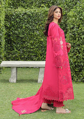 Lawn Collection - Qalamkar - Festive Lawn 24 - PS#06 - MALIHA
