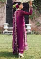 Formals - Rang Rasiya - Wedding Formals 25 - RR#04 - Nimir