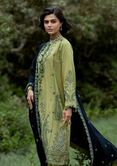 Winter - Gul Ahmed - Printed Pashmina - AP#62004