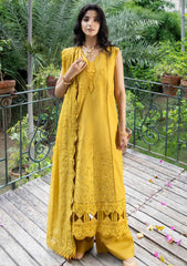 Winter Collection - Marjjan - Embroidered - Karandi - SKC#45-B