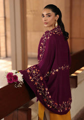 Winter - Rajbari - Winter Shawl - Exclusive 25 - D#03