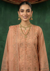 Formals - Riwaj - Fancy Net - 2 Pcs Suit - CND#1100 - Rust