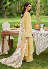 Winter - Asifa & Nabeel - Eden Cambric 25 - ECU#10 - Golden Dust