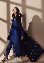 Winter Collection - Rajbari - Nissa - RBN24#01